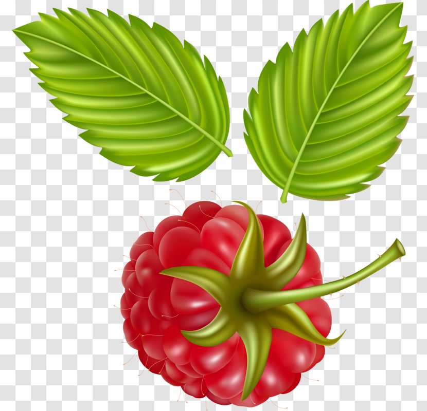 Juice Raspberry Fruit - Natural Foods - Red Transparent PNG