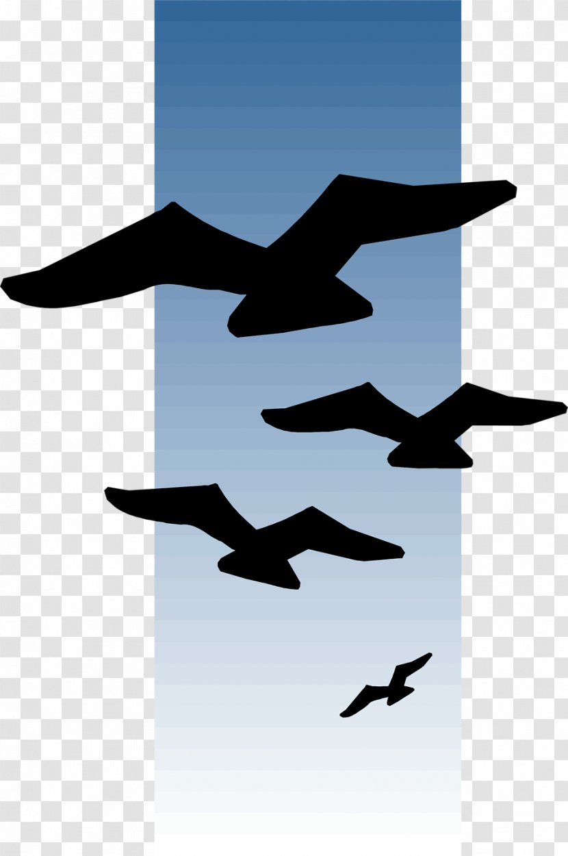 Bird Flight Clip Art - Beak - Flying Transparent PNG