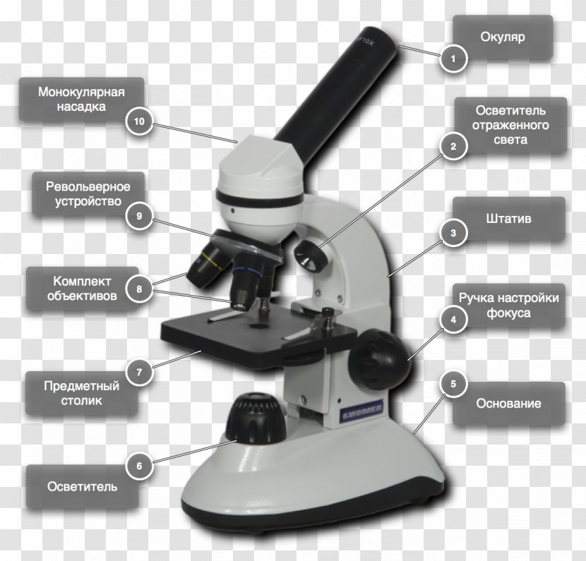 Microscope Magnification Medicine Medical Equipment Knowledge - Advertising Transparent PNG