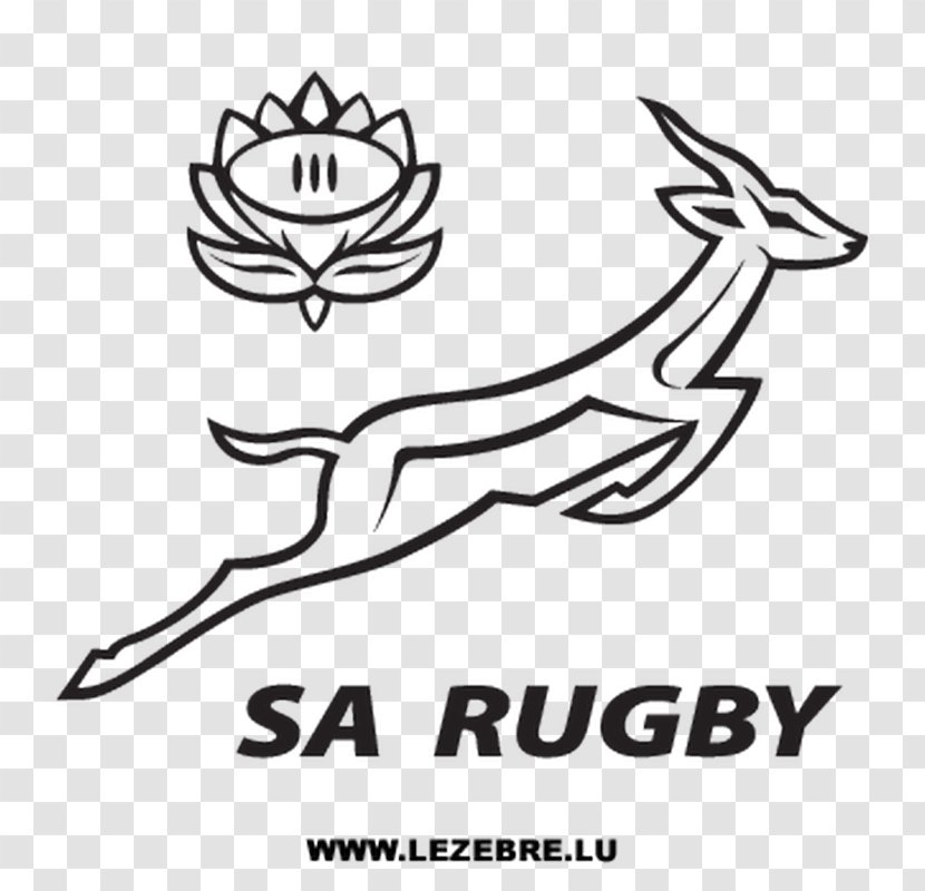 South Africa National Rugby Union Team United States The Championship - Sevens - Line Art Transparent PNG
