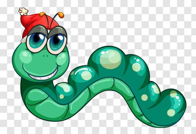 Worm Photography Illustration - Cartoon - Hat Caterpillar Transparent PNG