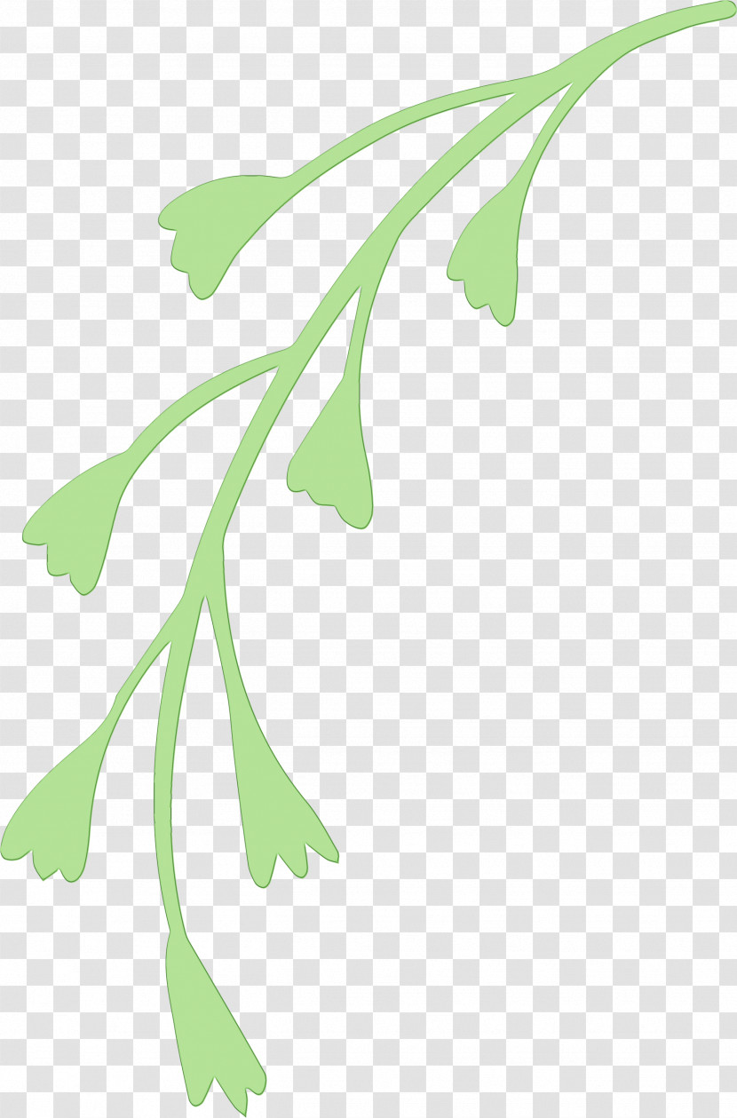 Plant Stem Leaf Flower Green Line Transparent PNG