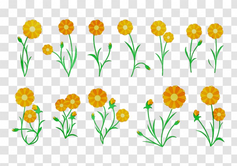 Cut Flowers Floral Design Pot Marigold Tulip Plant Stem - English - Wildflower Transparent PNG