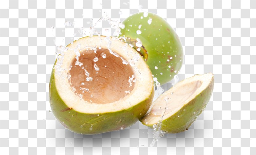 Coconut Water Juice Gelatin Dessert - Fruit Splash Transparent PNG