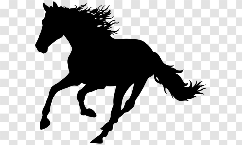 Horse Royalty-free Clip Art - Wild Transparent PNG