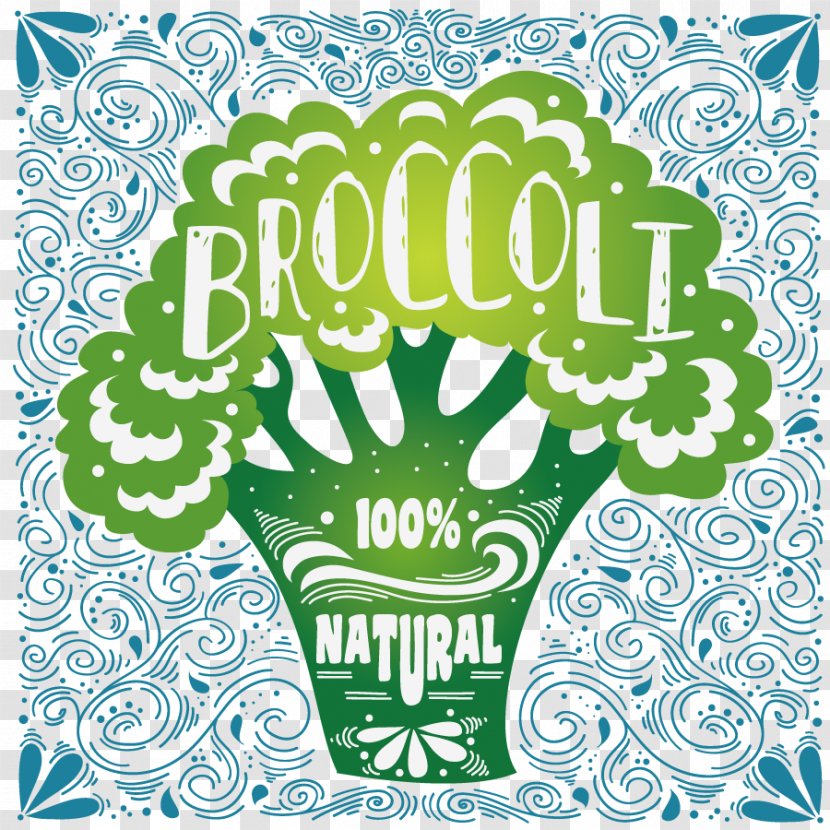 Organic Food Broccoli Vegetable Drawing Transparent PNG