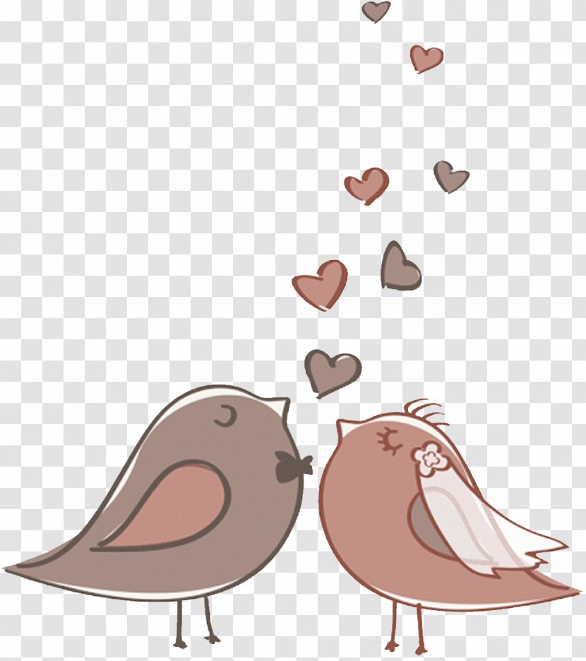 Cartoon Pink Pigeons And Doves Bird Footwear - Beak Rock Dove Transparent PNG