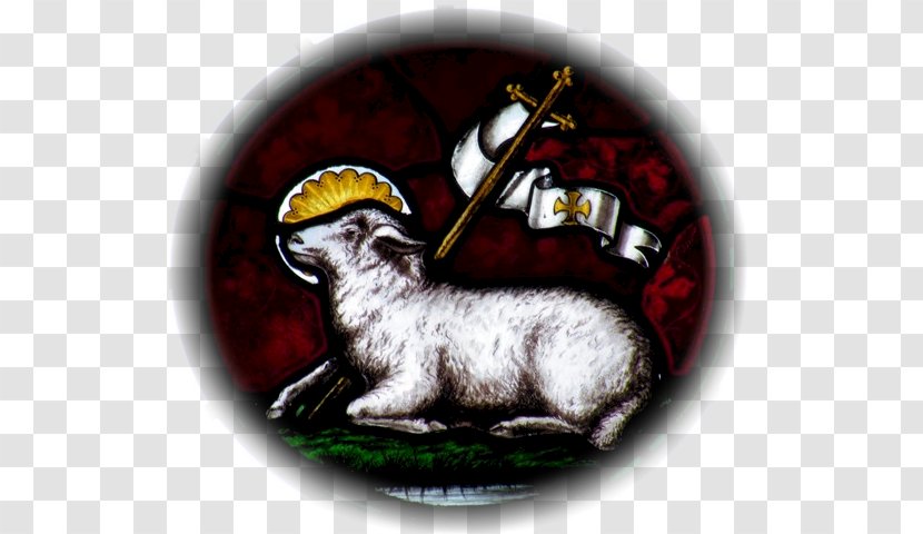 Sheep Book Of Revelation Christian Symbolism Lamb God Transparent PNG