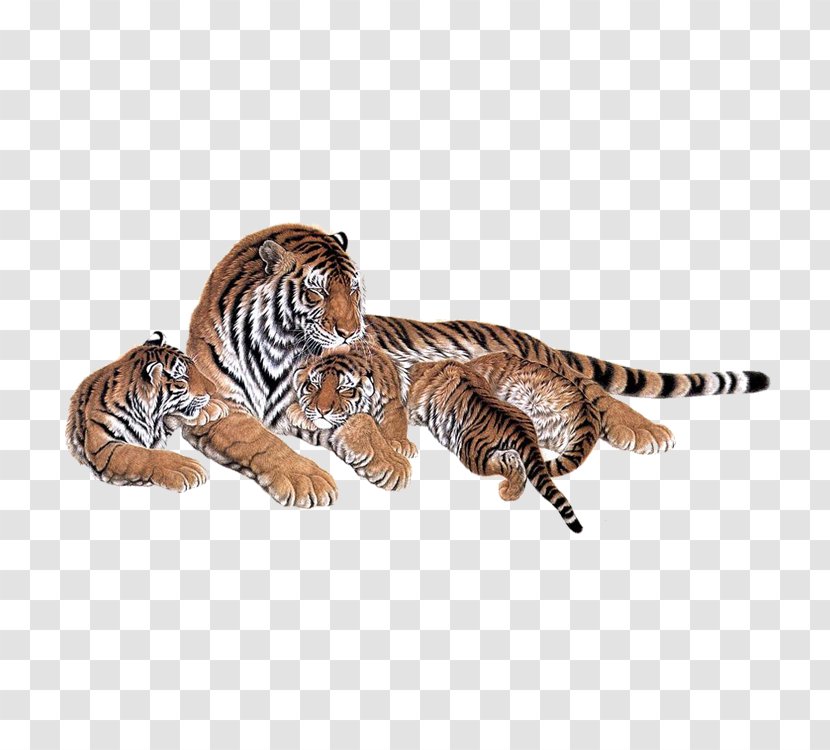 Siberian Tiger Lion Bengal Cat Animal - Like Mammal Transparent PNG