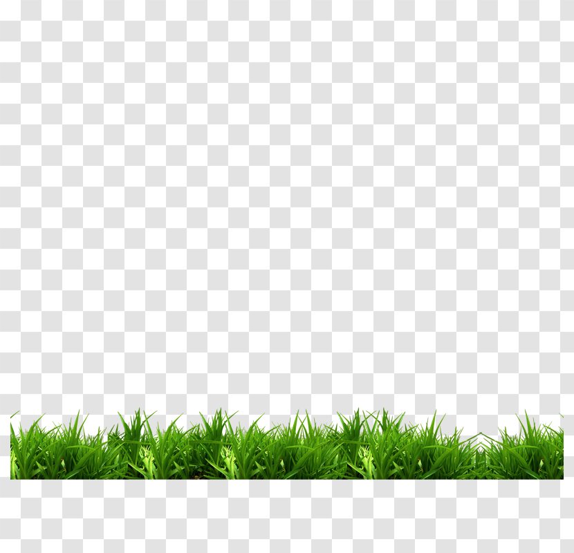 Park Bench White Green - Gratis - Grass Transparent PNG
