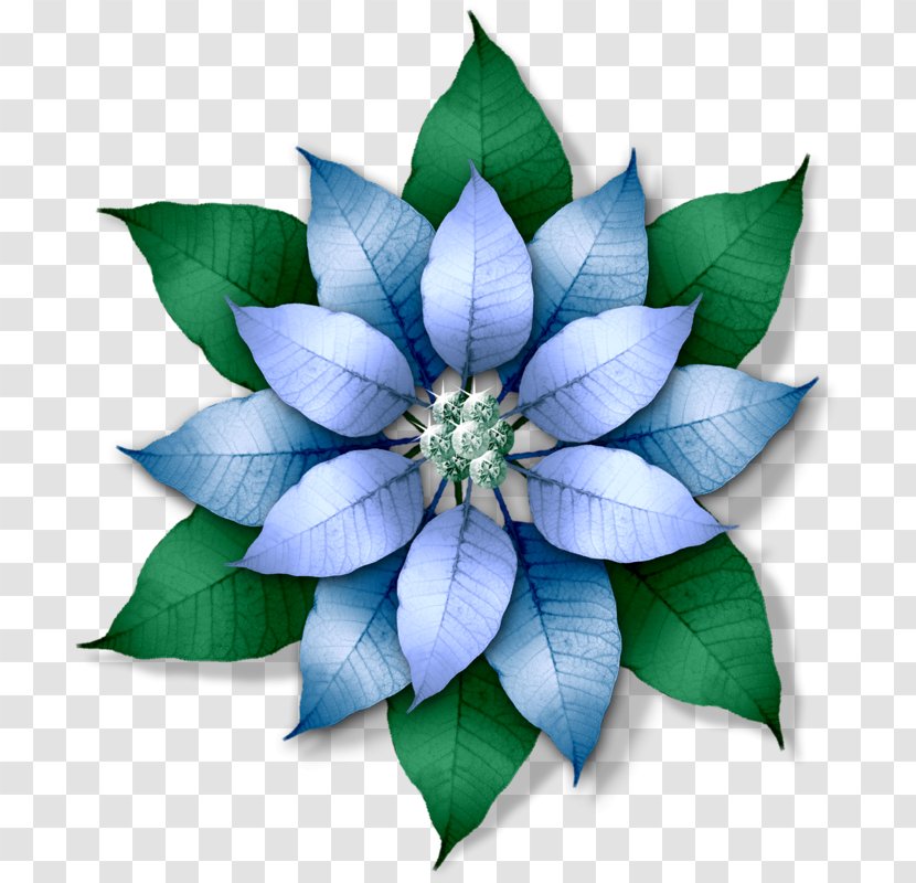 Drawing Blue Flower Color Transparent PNG