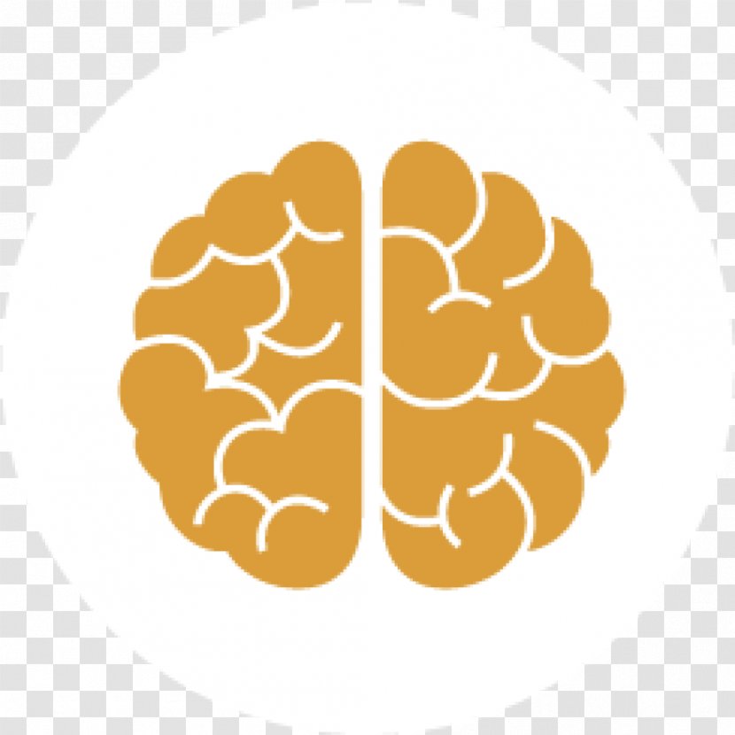 Brain Injury Child Cognitive Training Development Of The Nervous System - Frame Transparent PNG