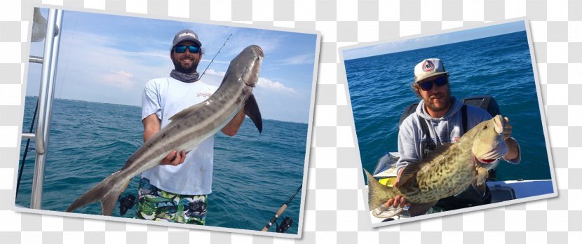 Bradenton-Sarasota-Venice, FL Metropolitan Statistical Area Gulf Cart Fishing Charters Leisure Transparent PNG