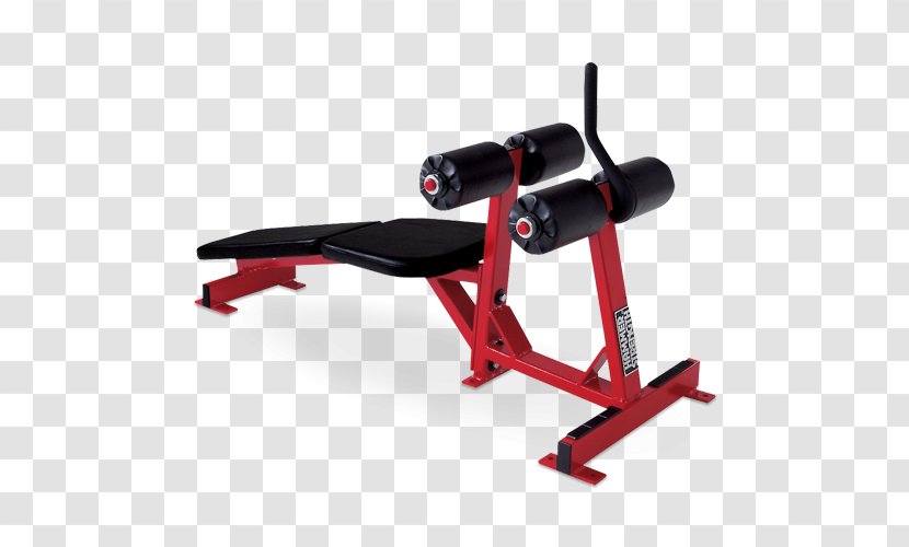Bench Press Strength Training Crunch Fitness Centre - Gym - All Motion Technology Ab Transparent PNG