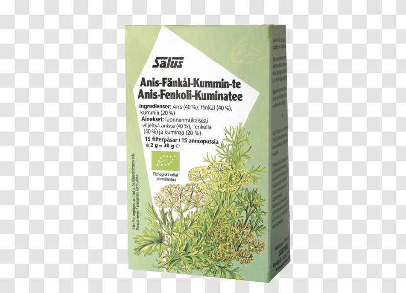 Tea Anise Herb German Chamomile Organic Food - Health Transparent PNG