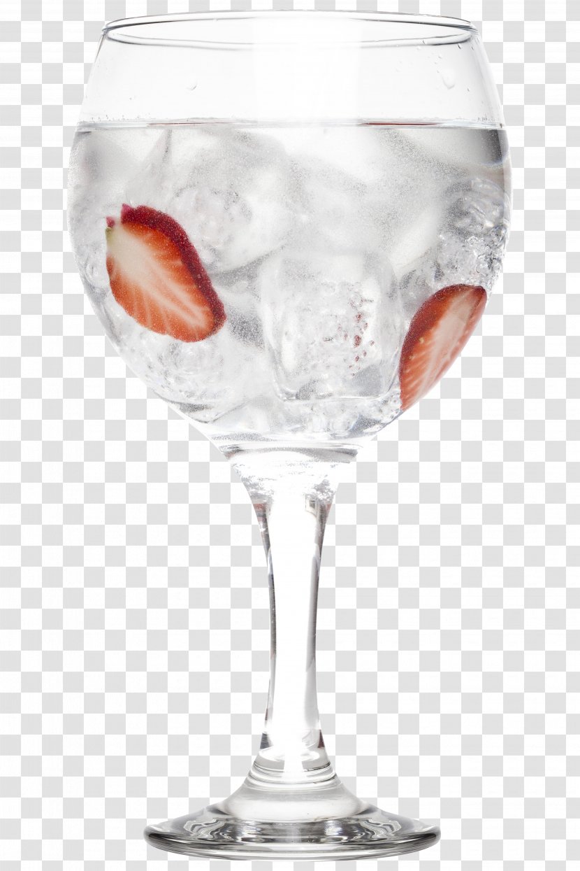 Gin And Tonic Wine Glass Cocktail Garnish - Ice Cube Transparent PNG