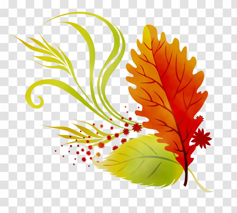 Clip Art Transparency Autumn Leaf Color - Flower - Plant Transparent PNG