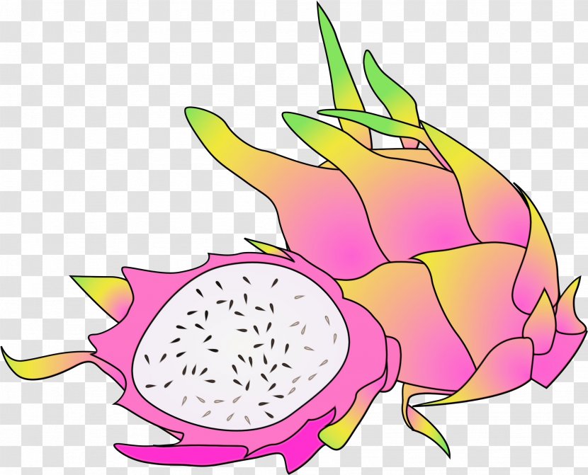 Food Cartoon - Fruit - Dragonfruit Plant Transparent PNG