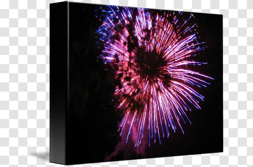 Violet Purple Lilac Flower Desktop Wallpaper - Stock Photography - Paper Firework Transparent PNG