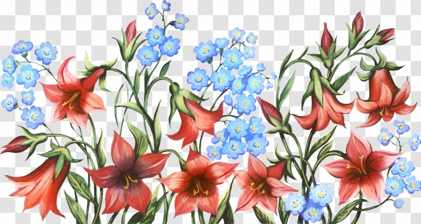 Flower Drawing Lily Floral Design Clip Art - Garden Transparent PNG