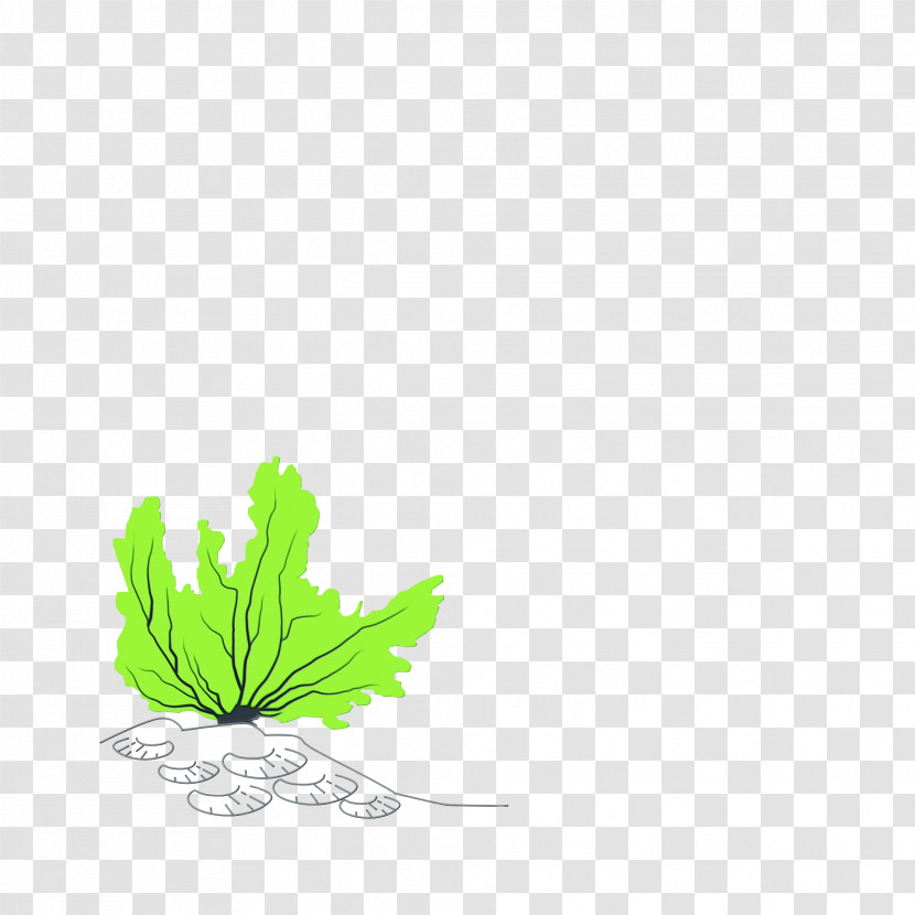 Leaf Plant Stem Tree Green Meter Transparent PNG