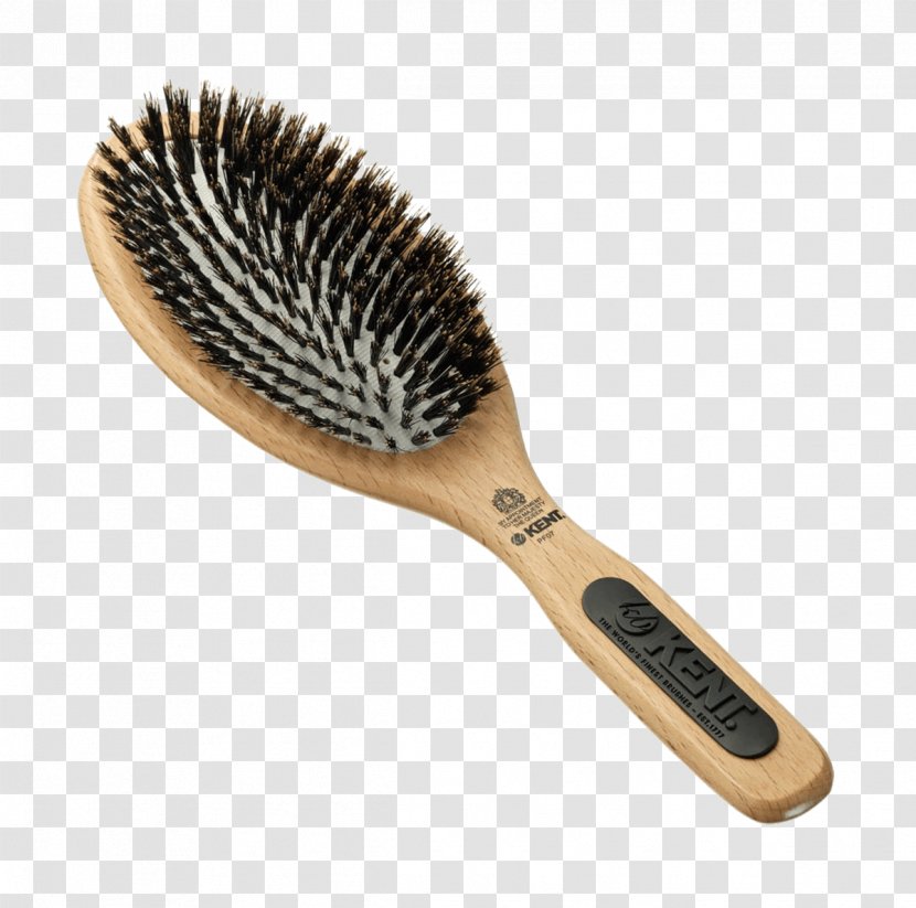 Comb Bristle Hairbrush - Wild Boar - Hair Transparent PNG