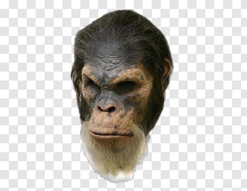 Common Chimpanzee Planet Of The Apes Gorilla Sculpture - Head Transparent PNG