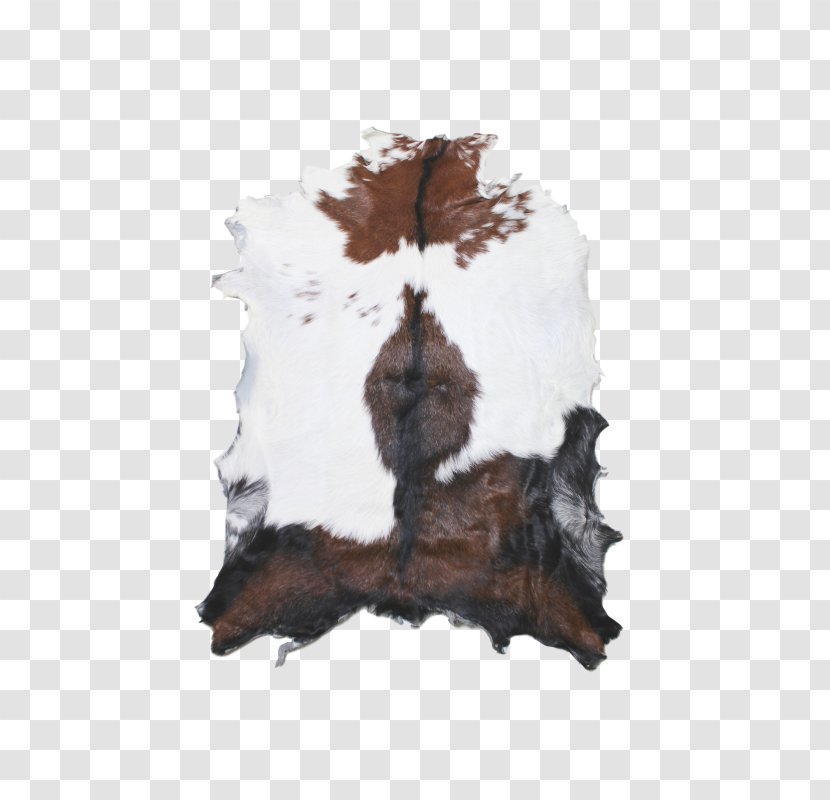 Vloerkleed Color White Fur House - Brown - Ahuntz Transparent PNG