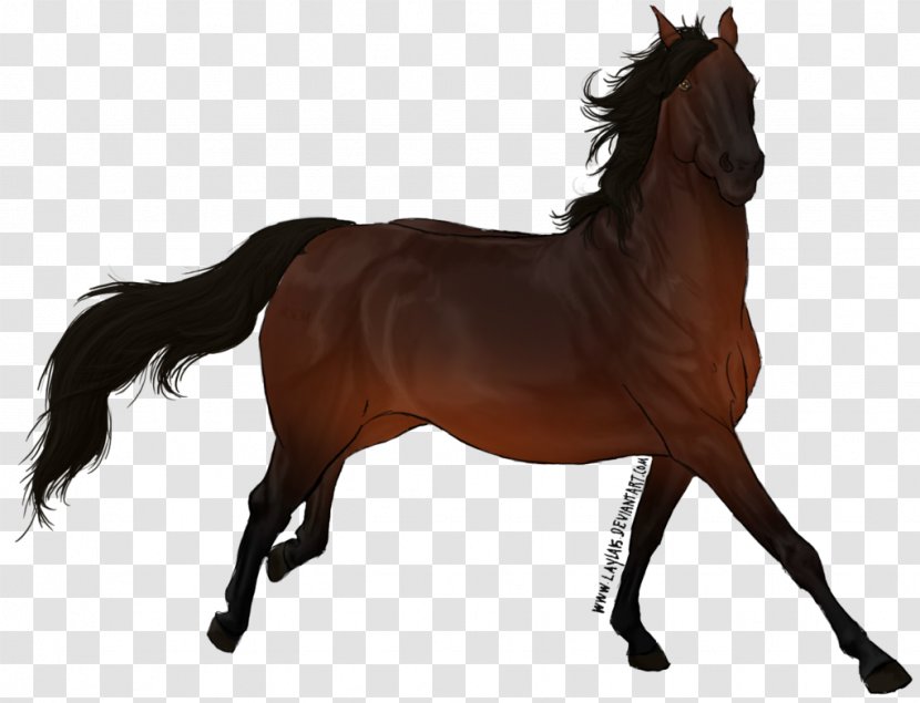 Foal Pony Mustang Stallion Mare - Wild Horse Sculpture Transparent PNG