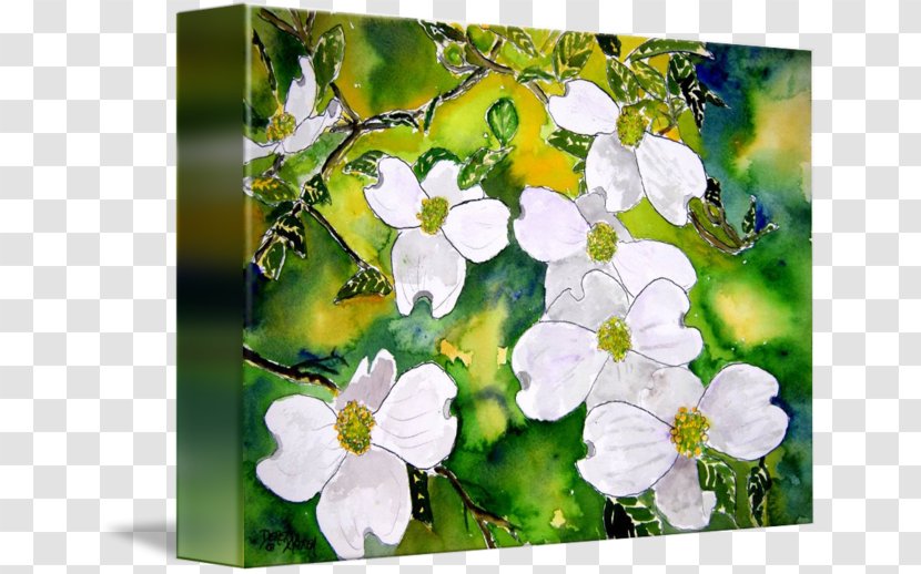 Flowering Dogwood Canvas Print Tree - Flower Transparent PNG