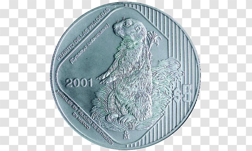 Coin Silver Harpy Eagle Endangered Species Transparent PNG