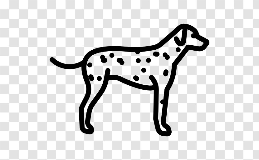 Dalmatian Dog French Bulldog Bernese Mountain Jack Russell Terrier Greyhound - Tail Transparent PNG