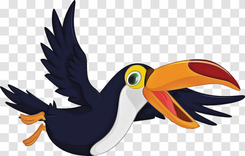 Toucan Bird Beak Cartoon Piciformes Transparent PNG