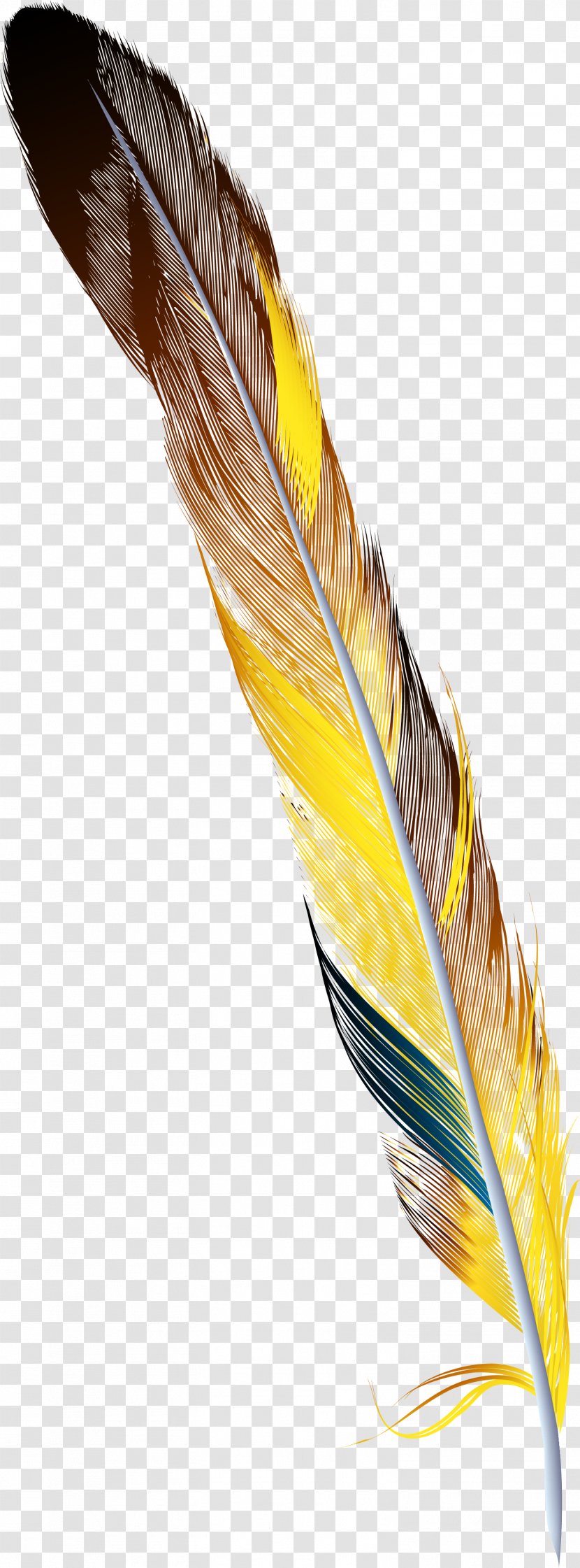 Feather Drawing - Watercolor Painting - Hand Painted Colorful Transparent PNG