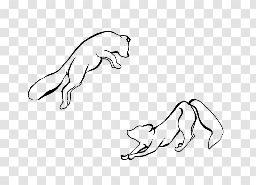 Dog Line Art Drawing Sketch - Watercolor - Eurasian Lynx Transparent PNG