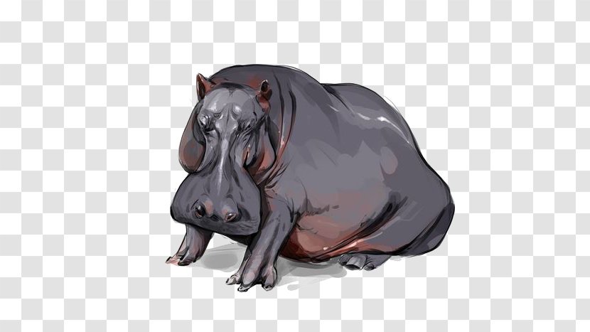 Hippopotamus Drawing - Art - Hippo Transparent PNG