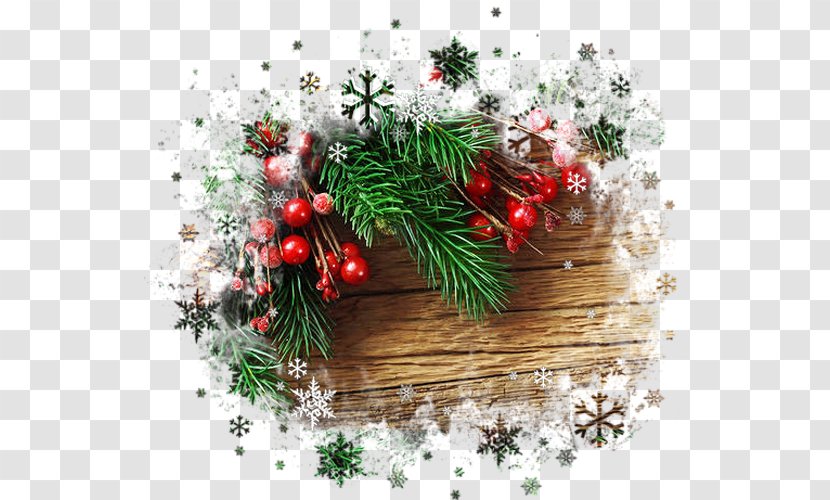 Fir Christmas Ornament Day Santa Claus Tree - Conifer Transparent PNG