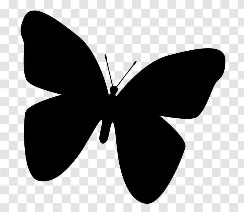 Butterfly Insect Blog Silhouette - Flower Transparent PNG