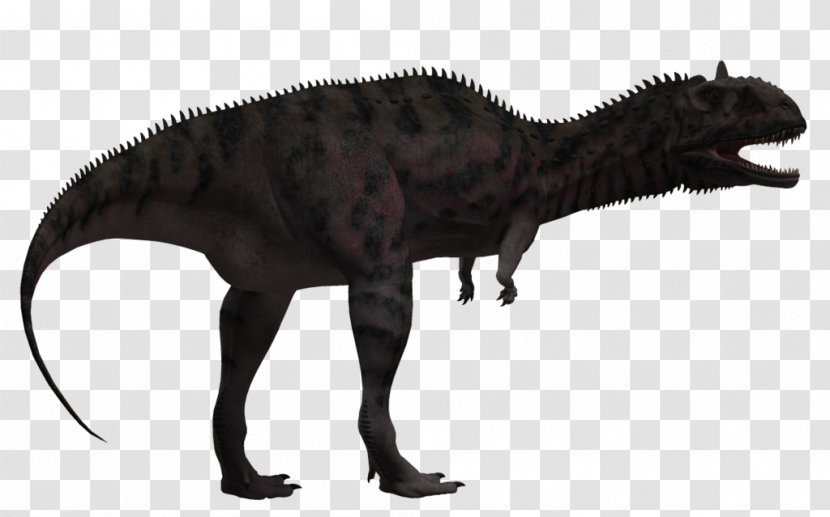 Tyrannosaurus Majungasaurus Velociraptor Dicraeosaurus Abelisauridae - Animal - Dinosaur Transparent PNG