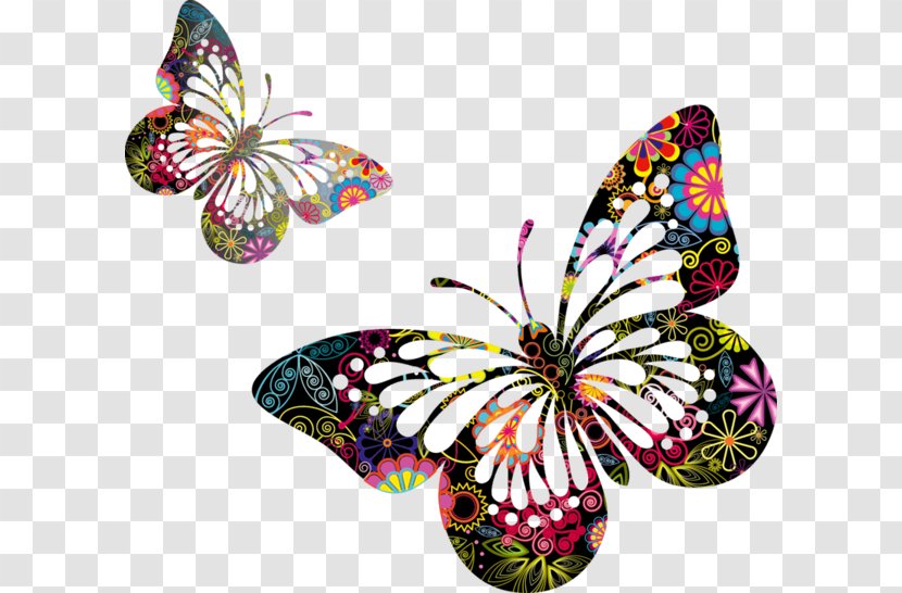 Butterfly Insect Clip Art Transparent PNG