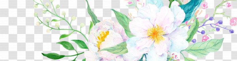 Floral Flower Background - Branching - Plant Petal Transparent PNG