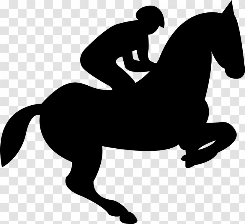 Teach Your Horse To Jump Show Jumping Equestrian - Mustang Transparent PNG