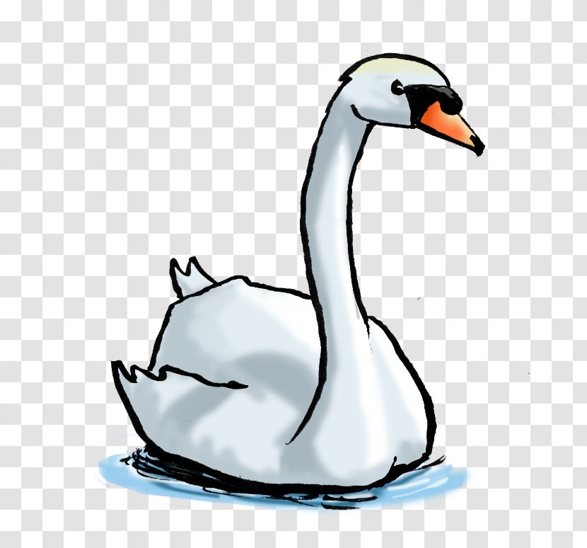 Cygnini Duck Goose Drawing - Waterfowl - Castor Transparent PNG