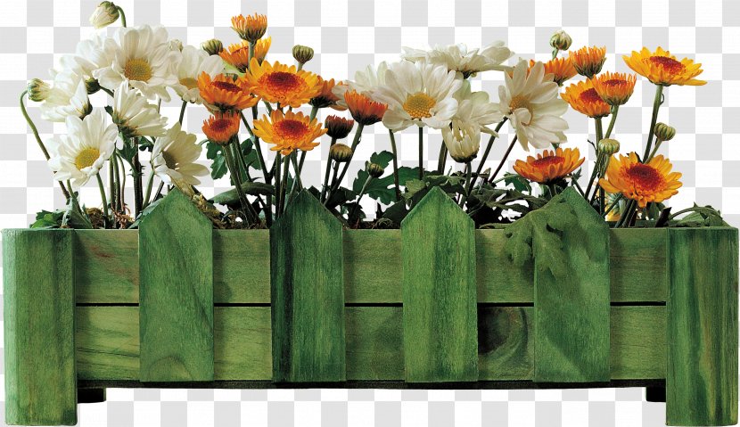 Morning Daytime Holiday Birthday Twilight - Floral Design - Chrysanthemum Transparent PNG