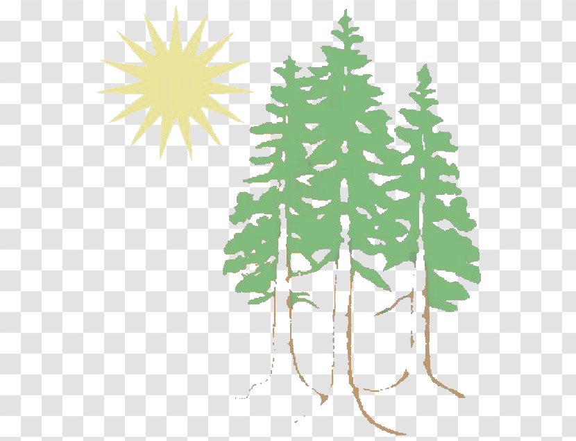 Christmas Tree Eureka Rescue Mission Arcata Spruce Transparent PNG