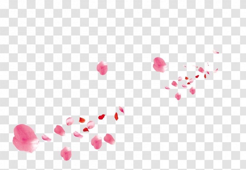 Beach Rose Petal Pink Flower - Transparency And Translucency - Petals Transparent PNG