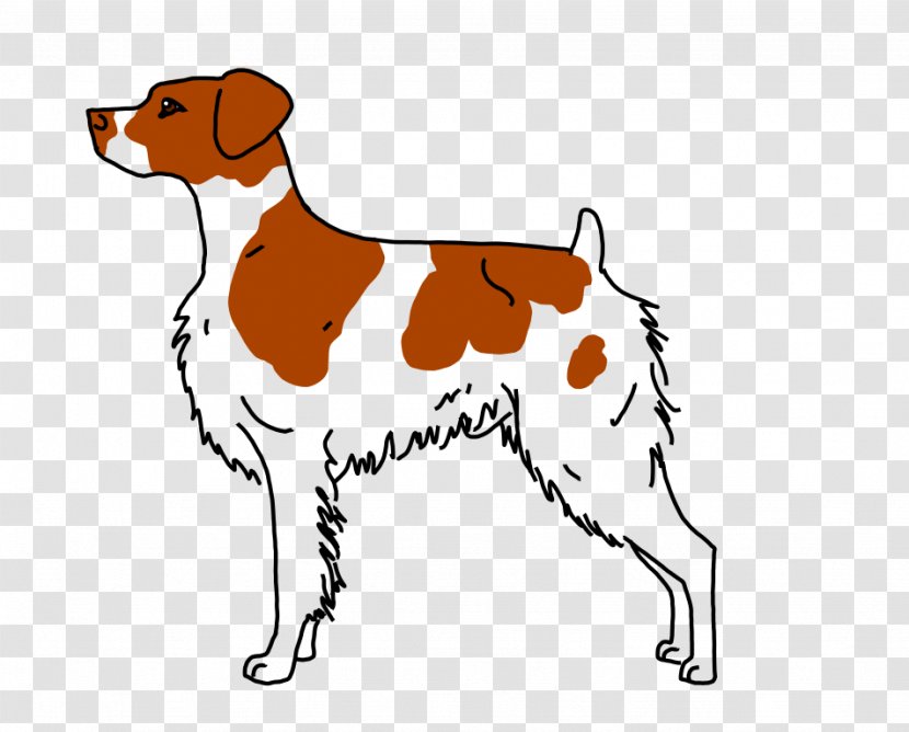 Brittany Dog Breed Puppy Pharaoh Hound Companion - Mammal - Orange And White Transparent PNG