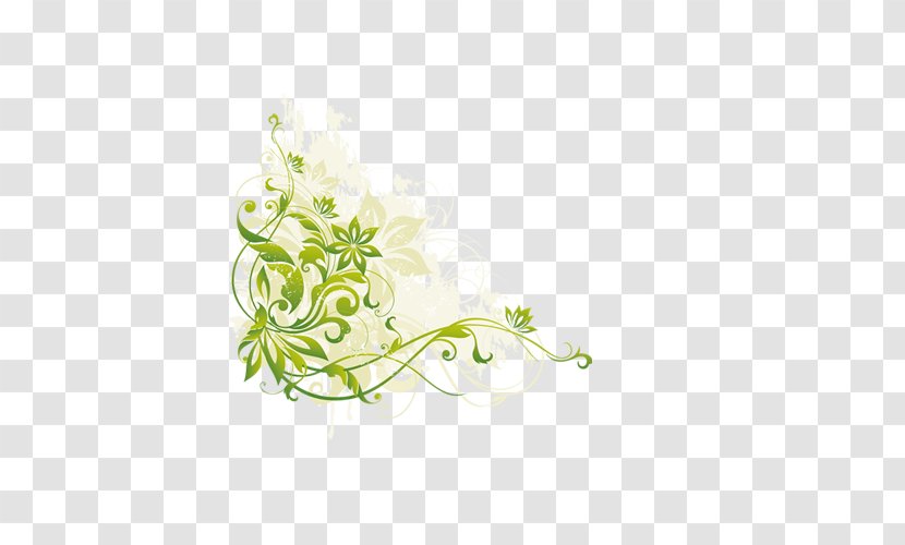 Pattern - Floristry - Plant Transparent PNG