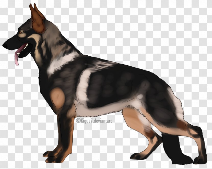 Kunming Wolfdog German Shepherd Dog Breed - Willow Woods Bunny Boarding Transparent PNG