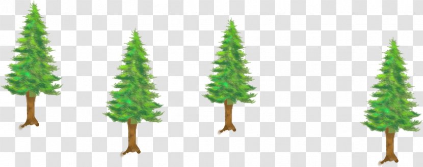 Fir Spruce Tree - Stump Transparent PNG